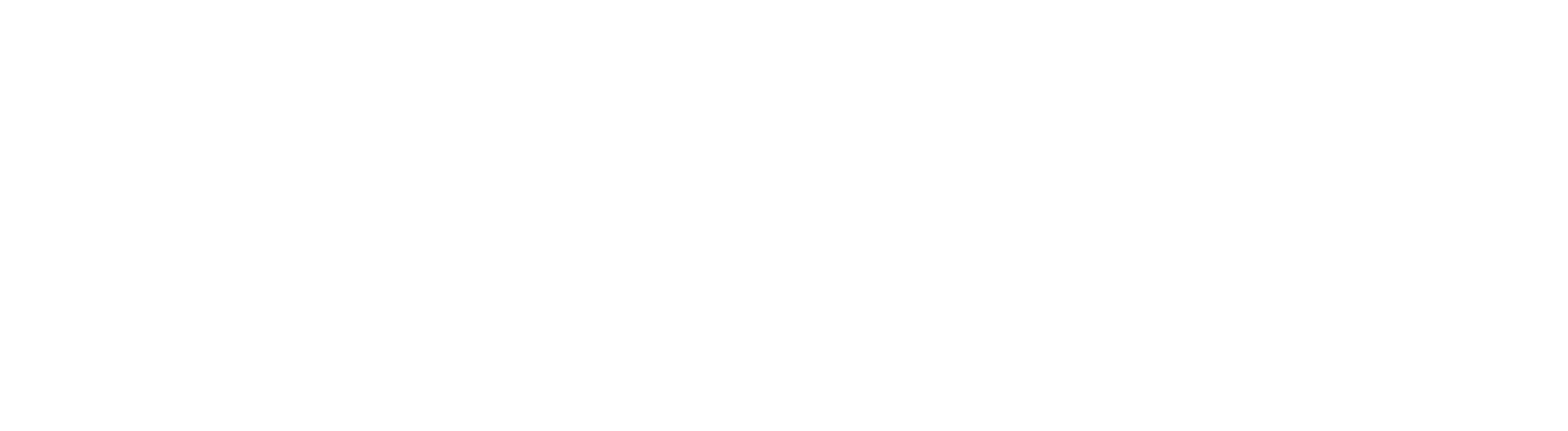 Jack Wolfskin Logo weiß