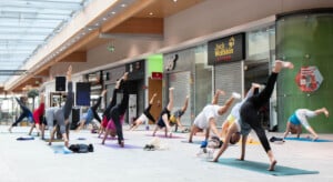 MXW_PIC_Yoga_1280x1145_2024