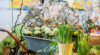 MXW_PICgal_Fruehlingswiese_1280x700_20254