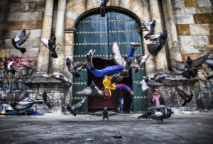 mas-011552-1142-org-high