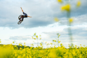 win-142834-3446-org-web